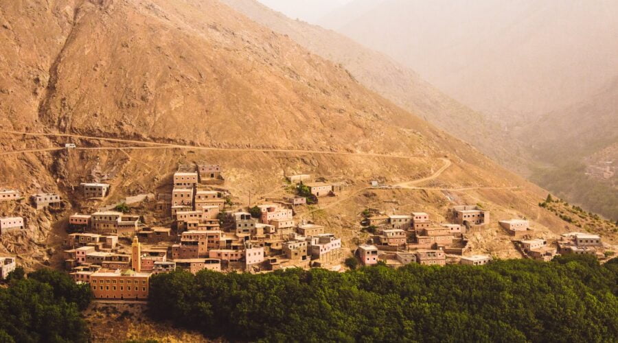 erg9zcloogs