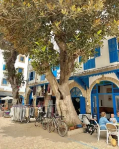 Essaouira day trip from Marrakech