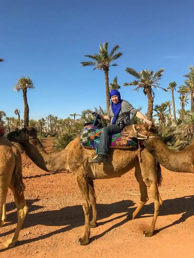 Palmeraie Oasis Camel Ride Experience