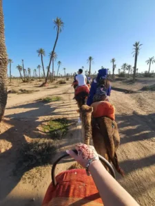 Palmeraie Oasis Camel Ride Experience