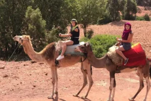 Ourika valley camel ride