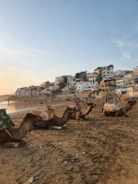 The Exclusive Coastal Escape: 2 Days in Agadir